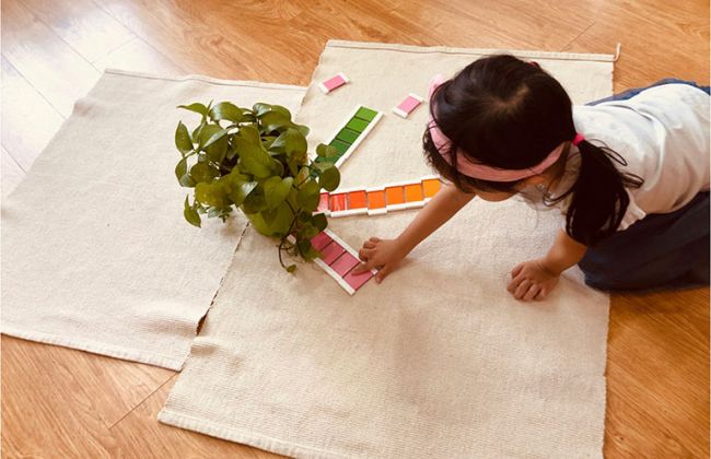 Phương pháp giáo dục Montessori – phương pháp giáo dục toàn diện