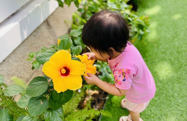 Phương pháp giáo dục Montessori – phương pháp giáo dục toàn diện